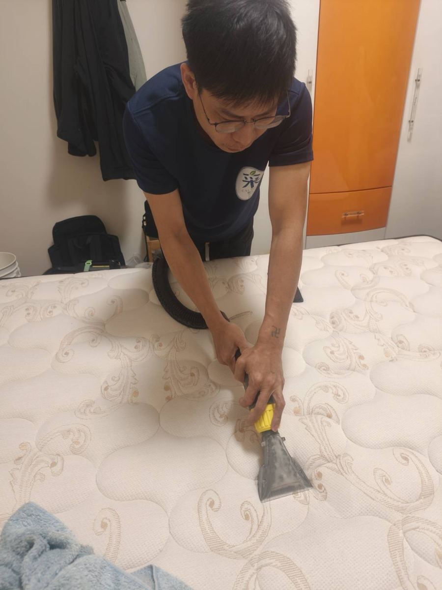 湯姆柯人員到府清洗床墊